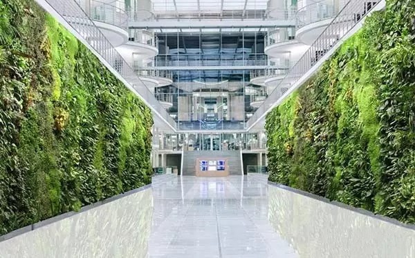 广州市绿大师植物墙景观墙绿化墙设计与安装