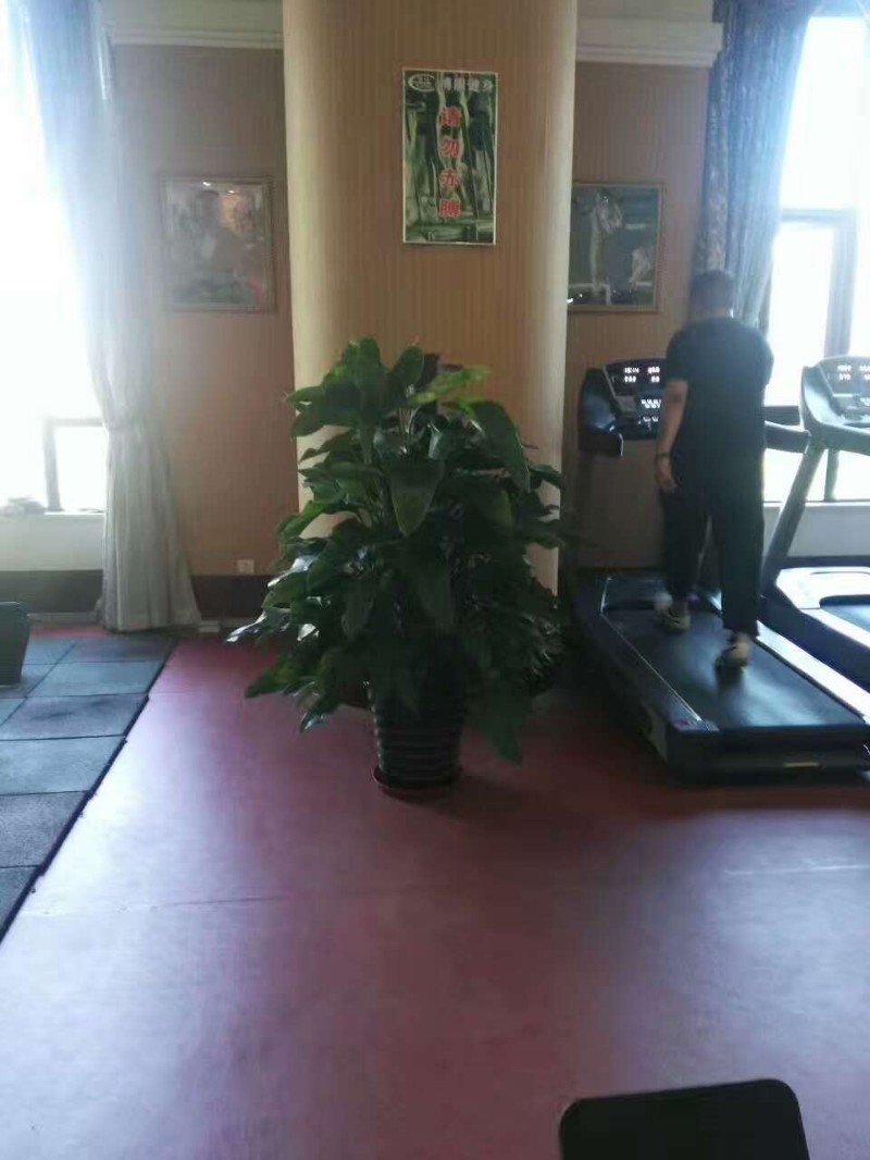 天津绿植租赁花卉租摆办公室绿植租赁