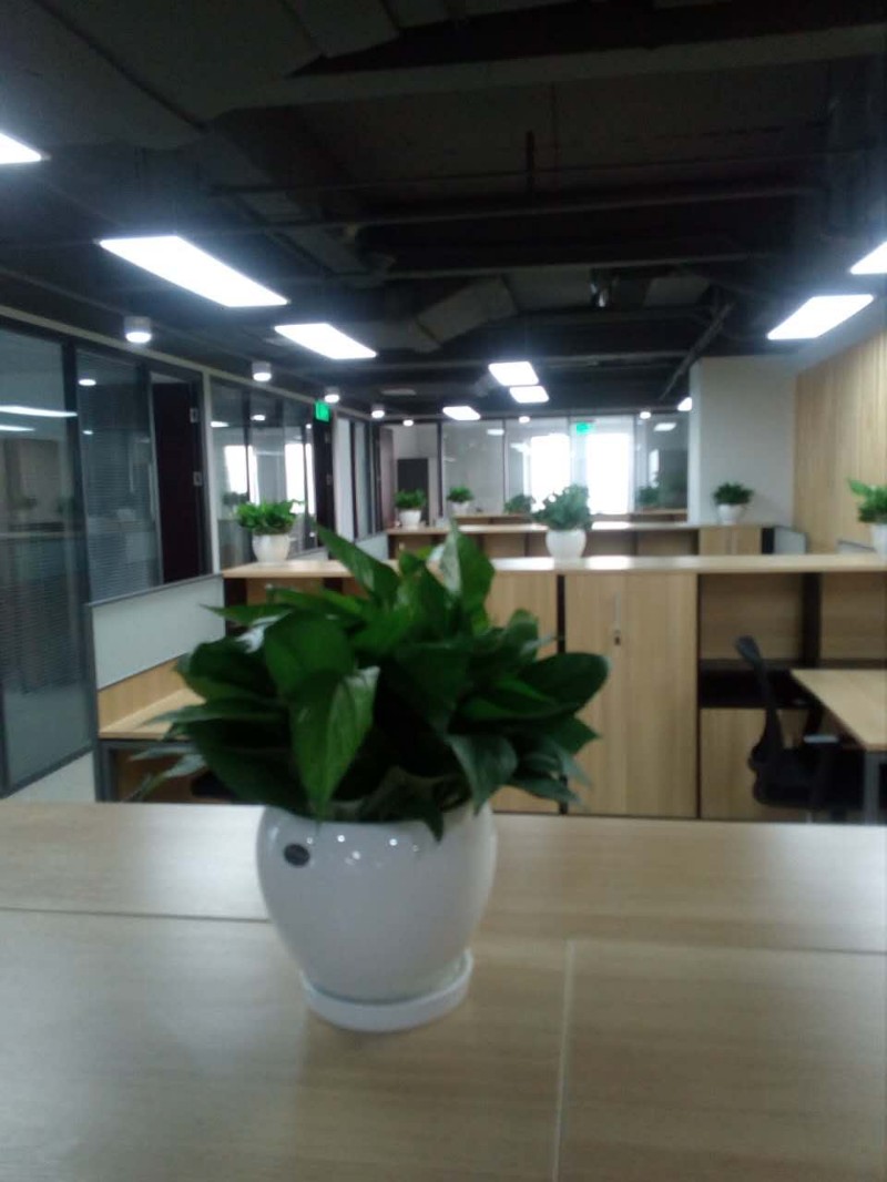 静海区绿植租赁有限公司