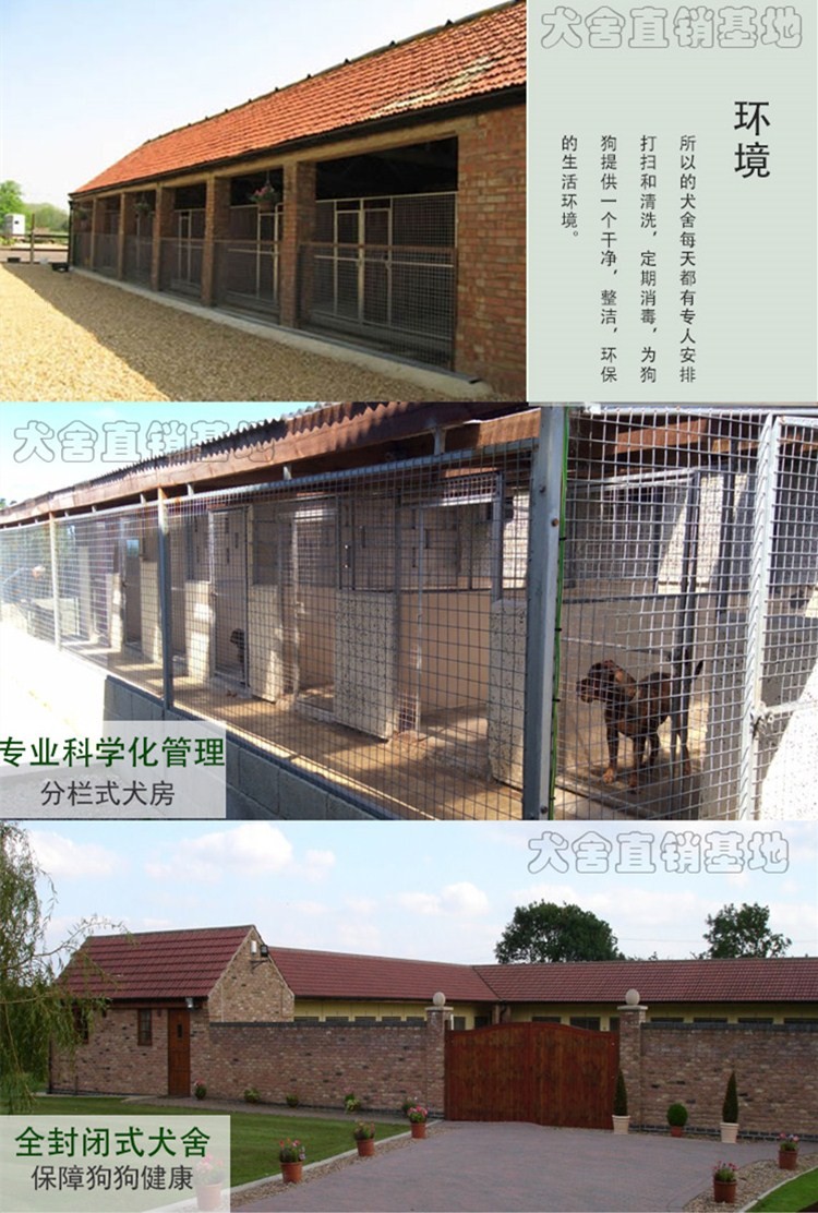 天津宠物养殖基地直销世界各类名犬 宠物狗 现场挑选 送货到家