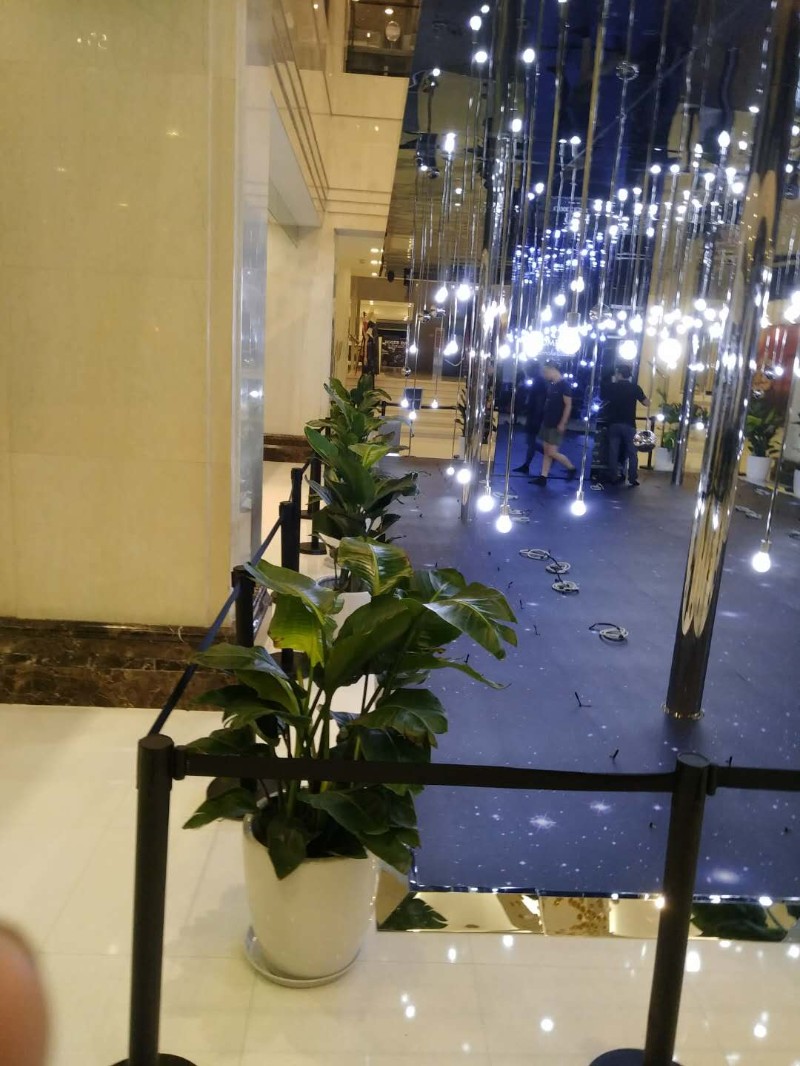 哈尔滨上城京绿植租售花卉租摆室内外绿化花木批发