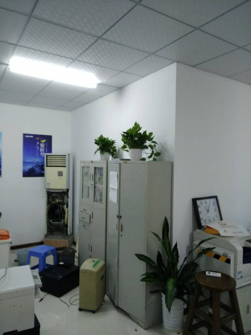 哈尔滨滨江专业绿化养护,鲜花设计摆放 绿植租赁