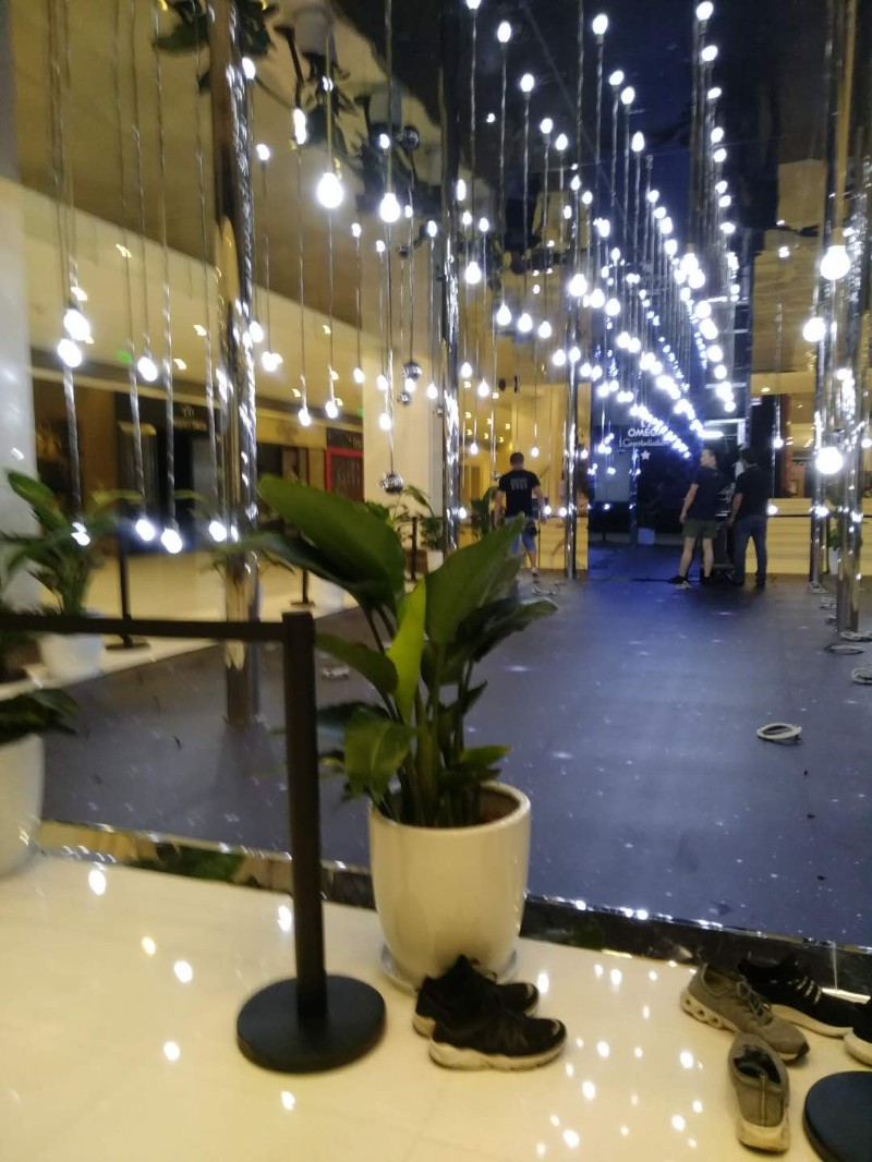 哈尔滨桐庐园林绿化养护花卉绿植租赁销售