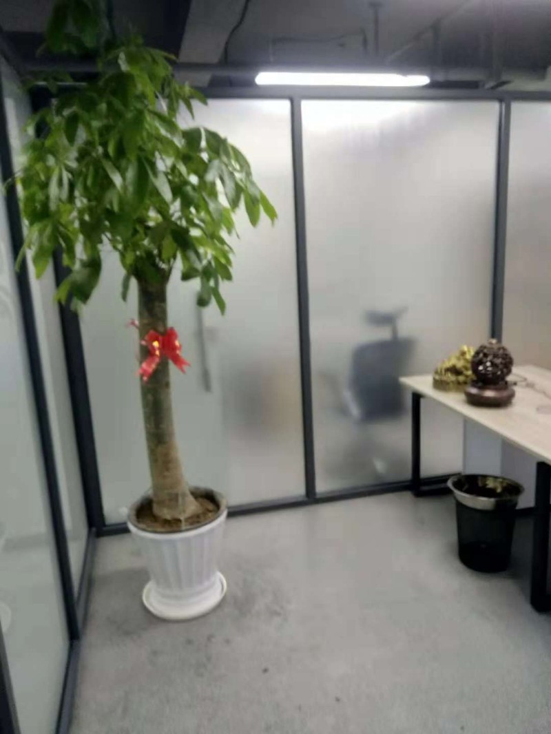 哈尔滨未来科技城绿植花卉租摆租赁配送