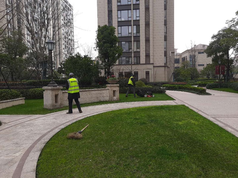 哈尔滨江干专业绿化养护,鲜花设计摆放 绿植租赁