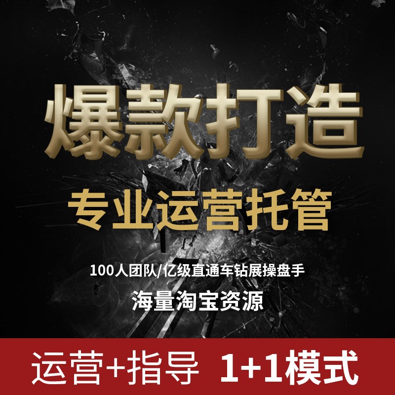 哈尔滨网店代运营 哈尔滨淘宝代运营 哈尔滨天猫代运营