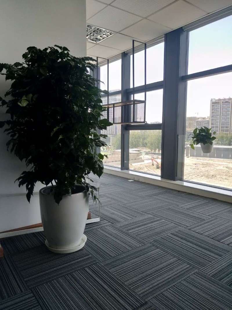 哈尔滨江干展会花卉短租，花卉日租赁
