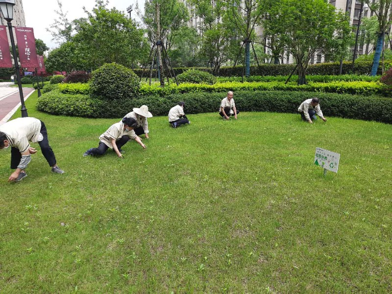 哈尔滨淳安绿植租赁花卉销售苗木批发绿化施工