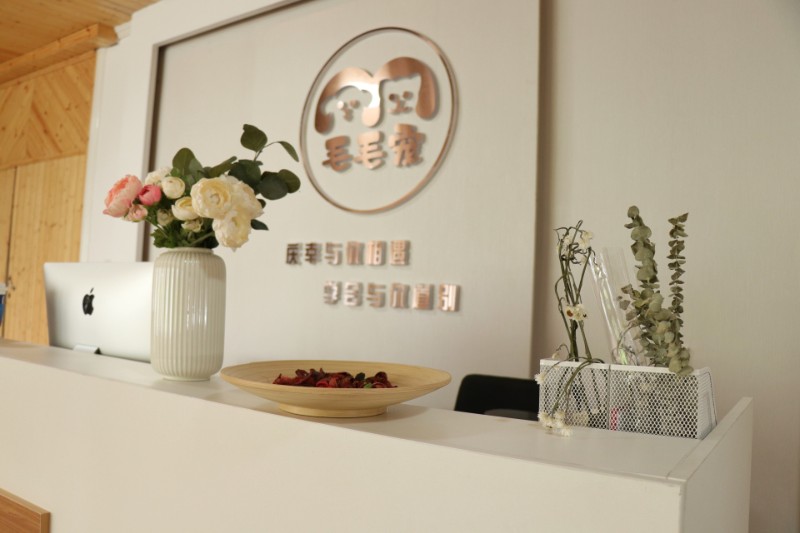 哈尔滨宁波台州温州嘉兴金华,宠物去世火化殡葬24h营业