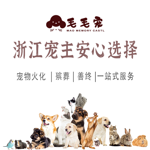 哈尔滨宁波台州温州嘉兴金华,宠物去世火化殡葬24h营业