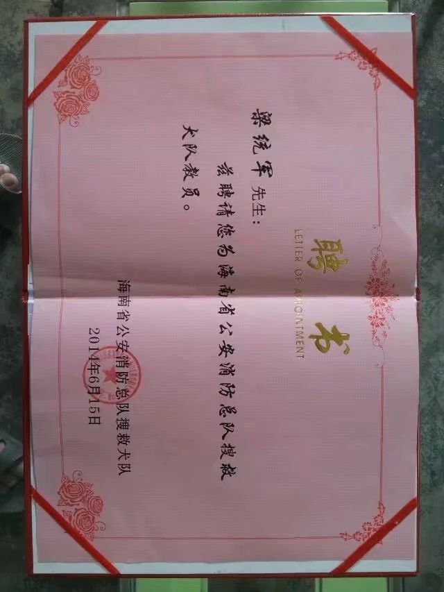 海口宠物狗狗训练
