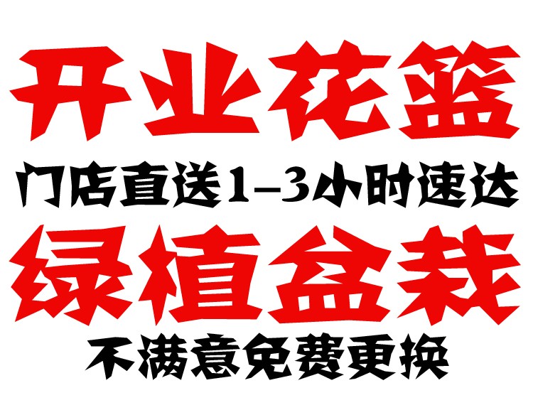 长沙开业花篮鲜花绿植盆栽花卉发财树绿萝同城配送全国开张庆典 长沙开业花篮鲜花绿植盆栽花卉发财树绿萝同城配送全国开张庆典