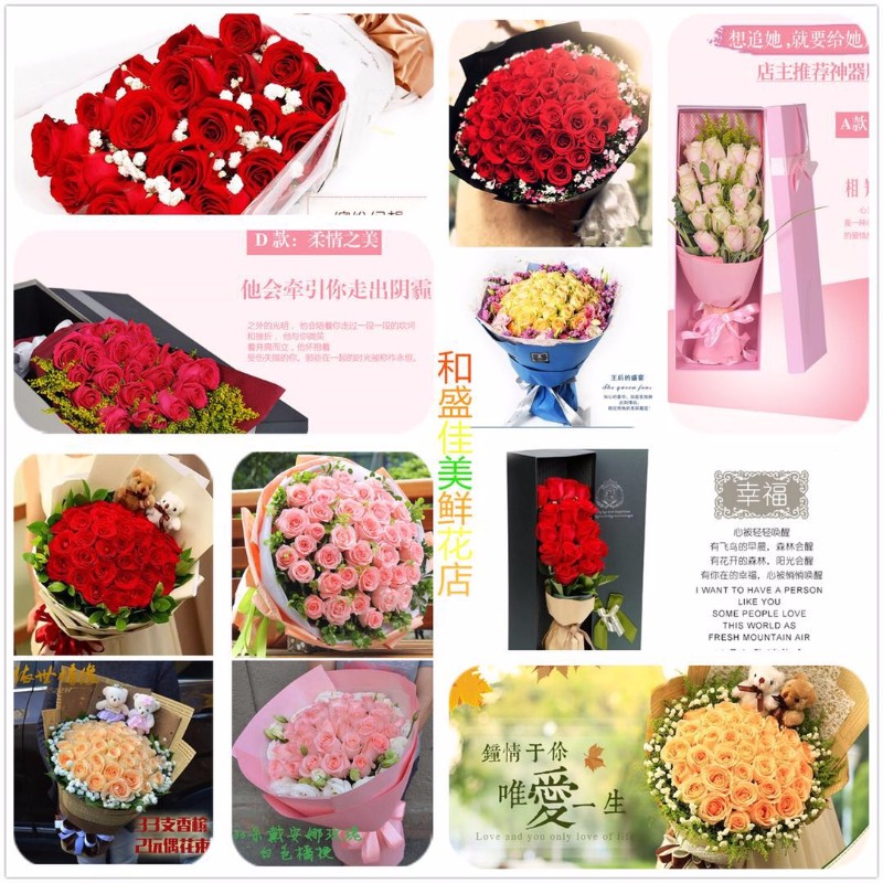 长沙芙蓉订发财树绿萝批发全城送货上门