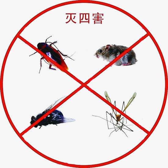 雨花区灭蟑螂公司,灭蚊蝇公司,灭白蚁公司,灭鼠公司,除甲醛 雨花区灭蟑螂公司,灭蚊蝇公司,灭白蚁公司,灭鼠公司,除甲醛